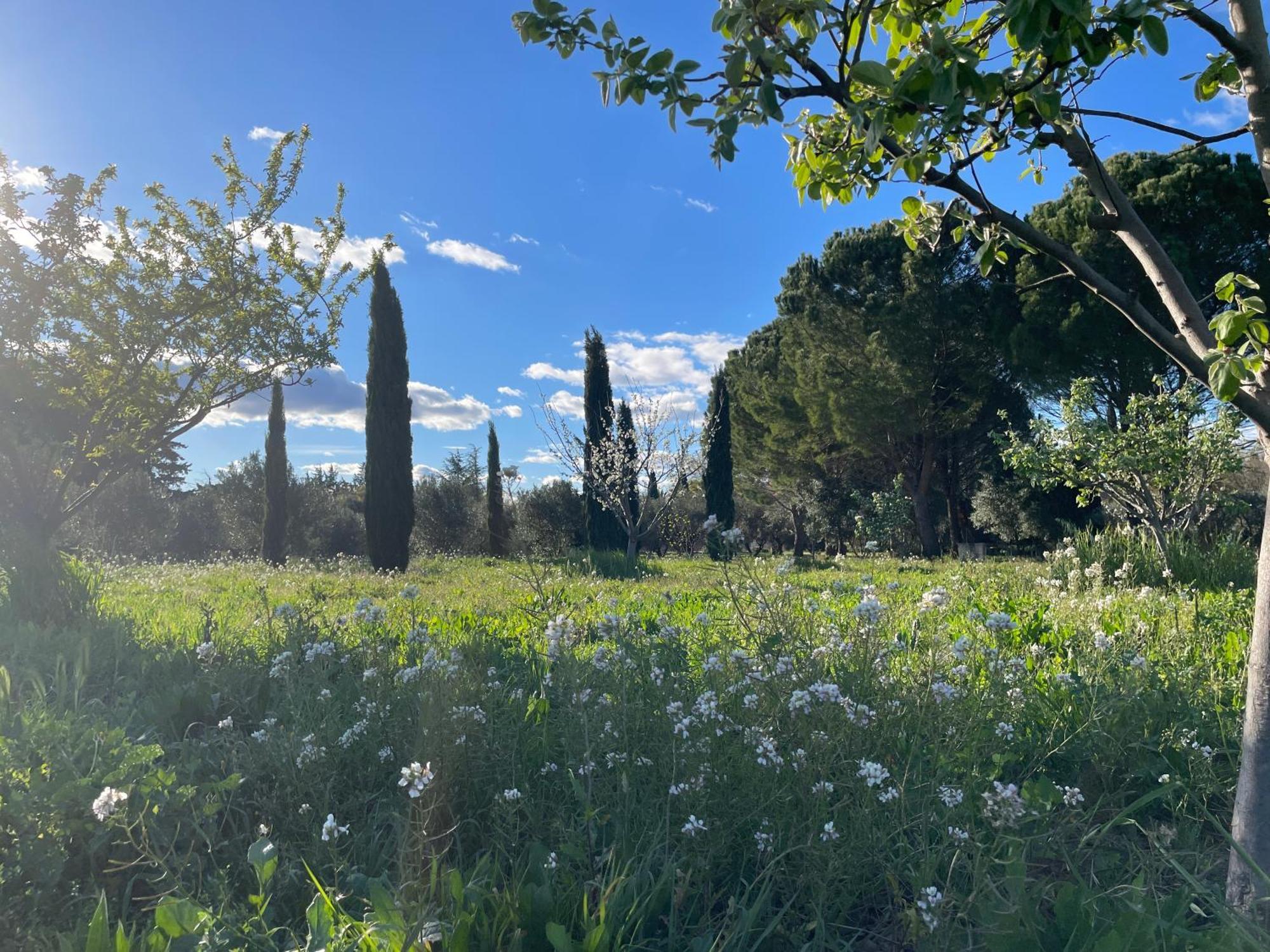 Hotel Et Appartements Domaine Des Clos - Teritoria 博凯尔 外观 照片